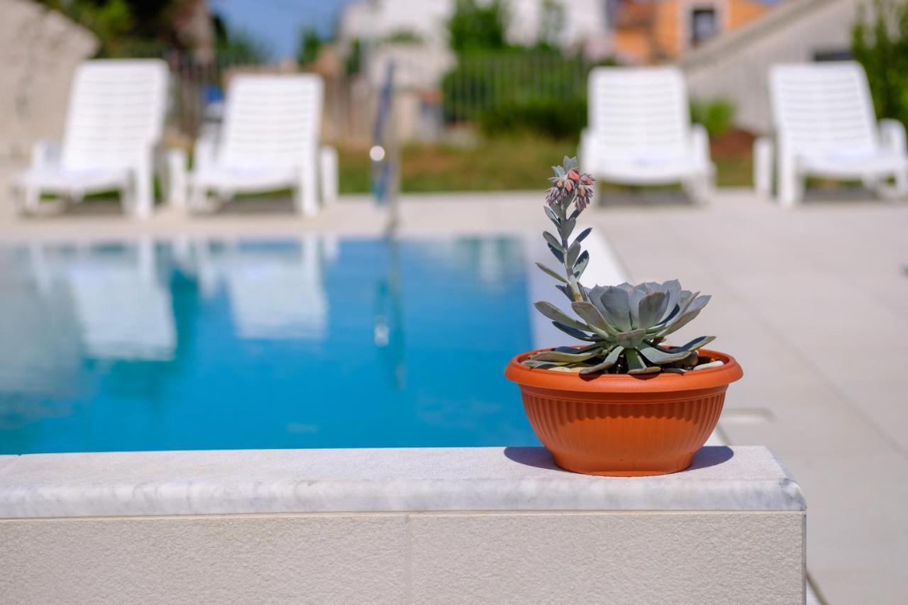 Vila Conte 3* Veli Lošinj